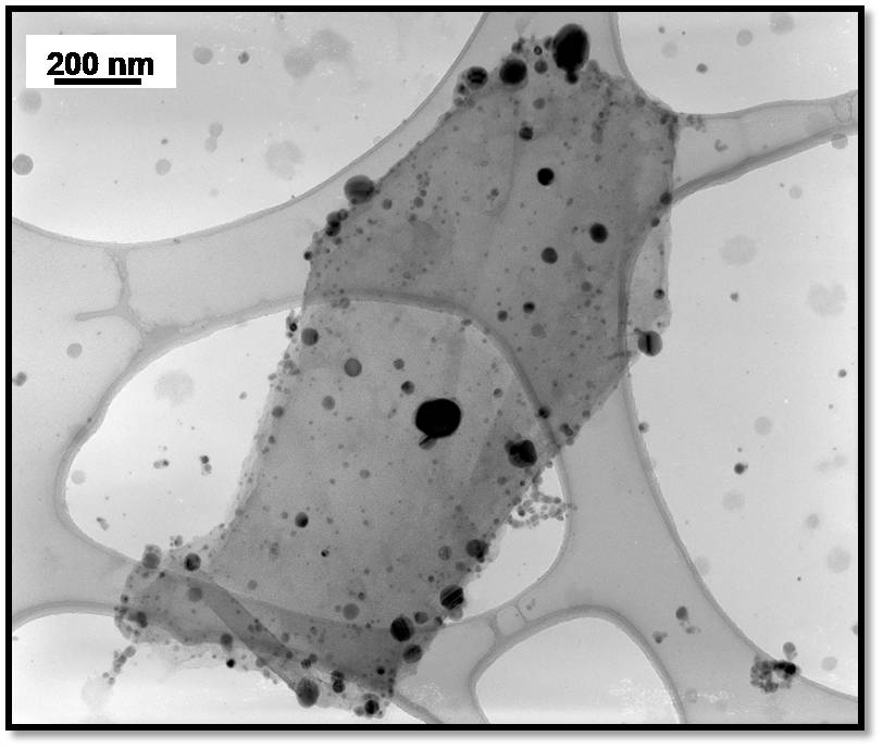 Transmission Electron Microscopy (TEM) image of TiO2, Ag, Graphene composite